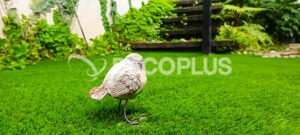 Quezon-City-Artificial-Grass-Philippines-Decoturf-Decoplus-.jpg
