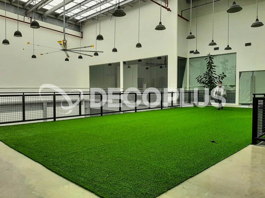 footbal-grass-philippines-111224