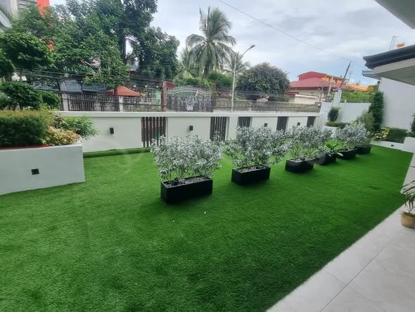 bermuda-grass-020326-02