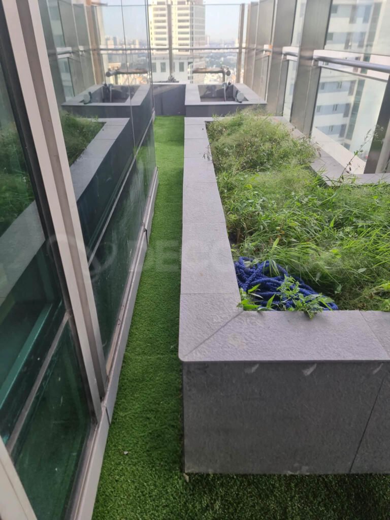 bermuda-grass-012326-02