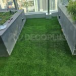 bermuda-grass-012326-07