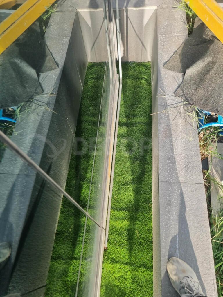 bermuda-grass-012326-06