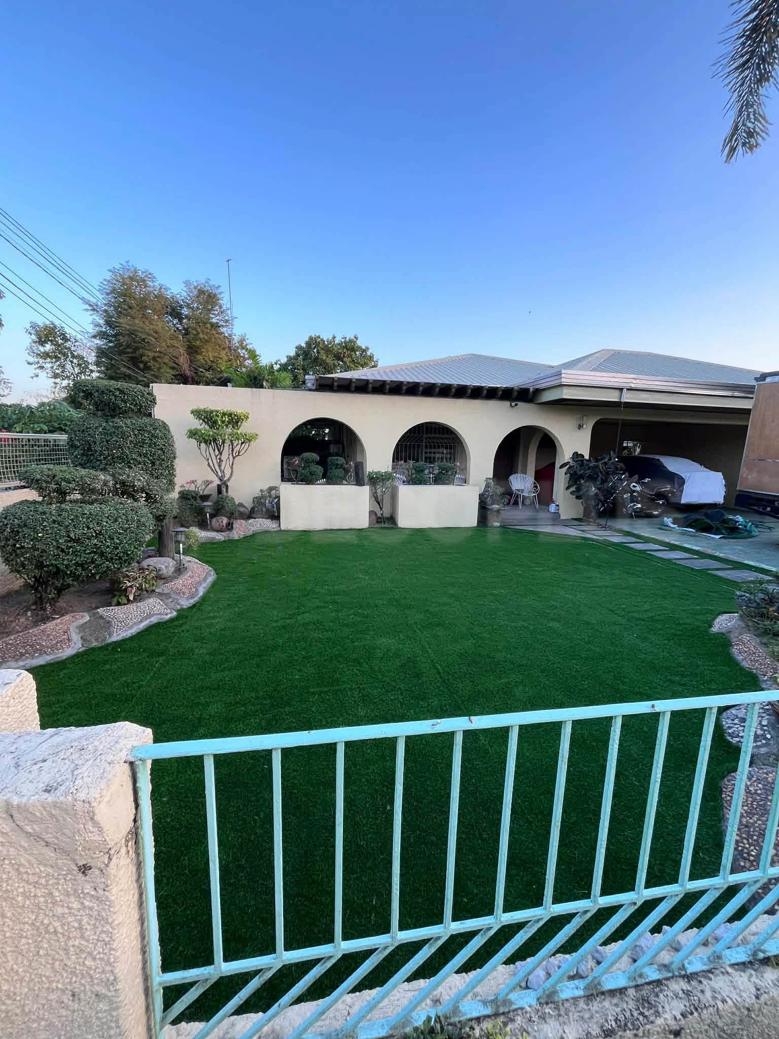 bermuda-grass-03242026-02