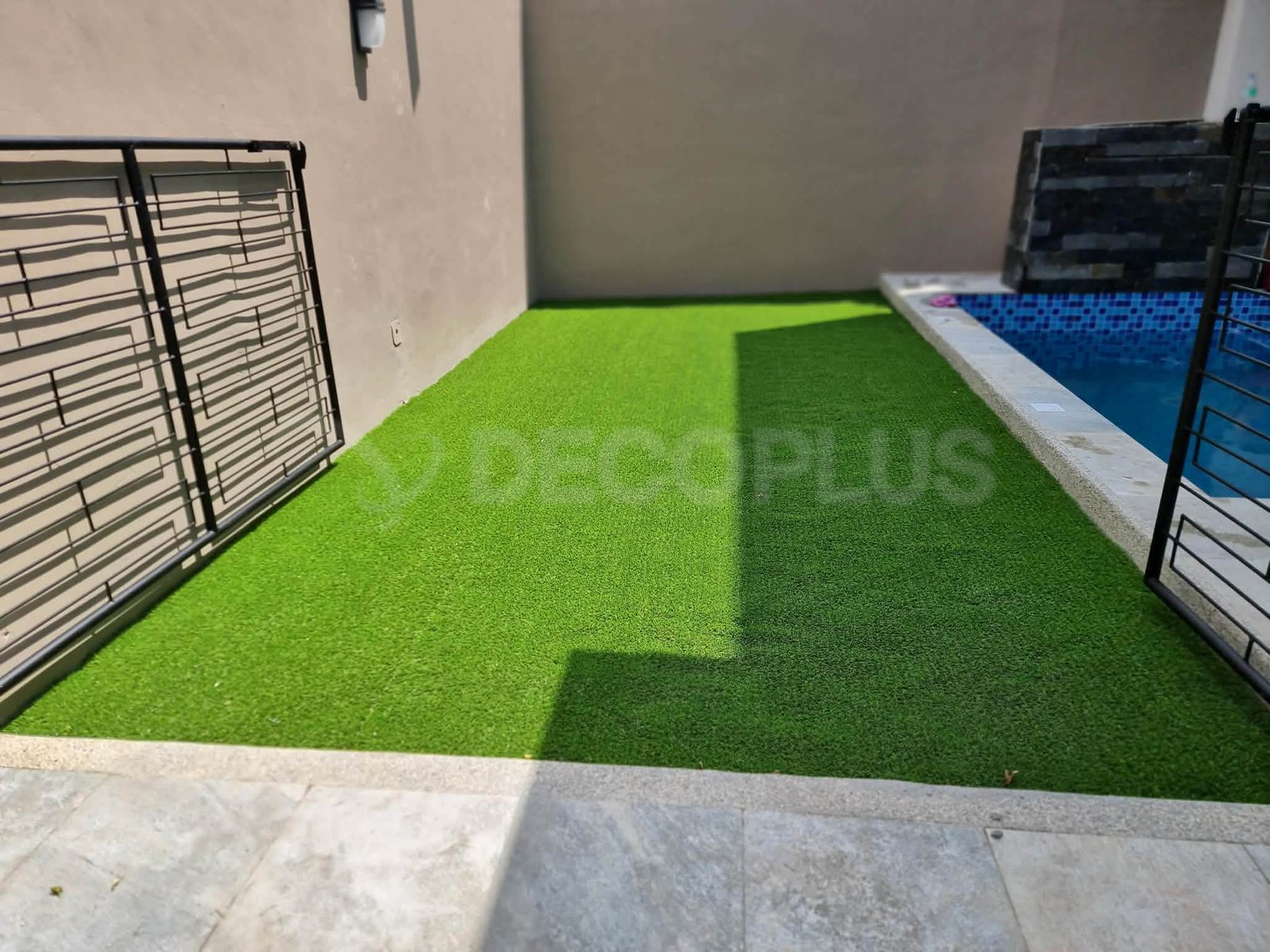 bernuda-grass-03042026-01