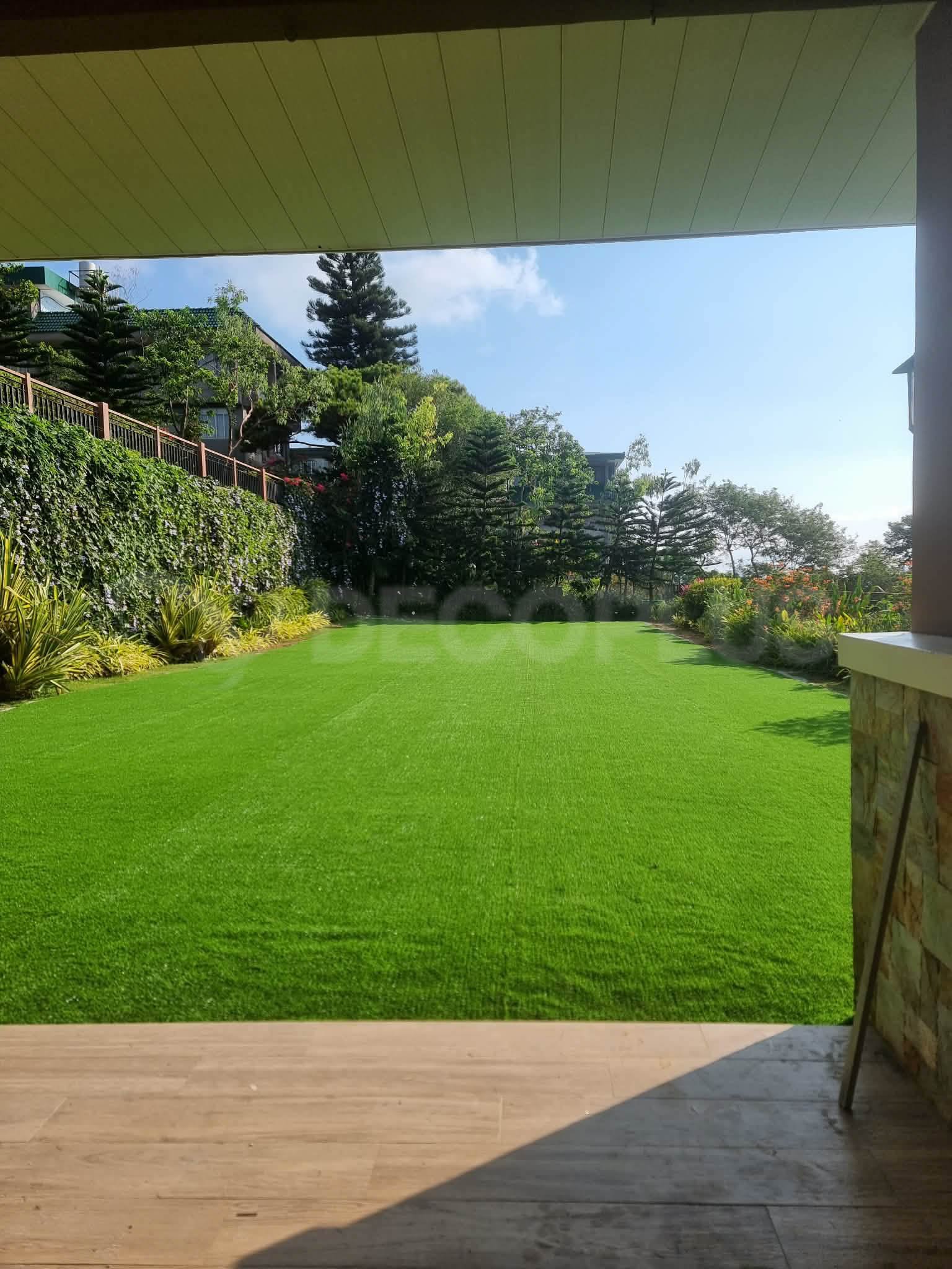 bermuda-grass-04072026-01