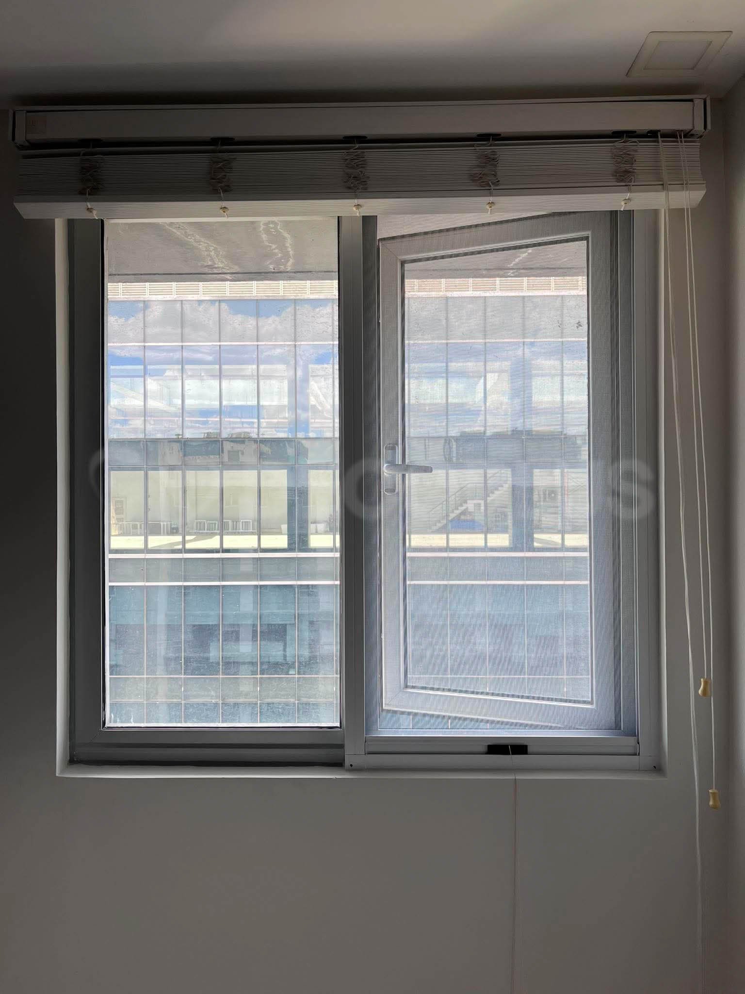 mosquito-screen-05062026-02