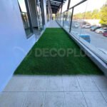 bermuda-grass-05112026-03