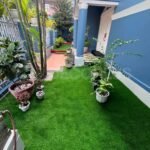 bermuda-grass-05282026-03