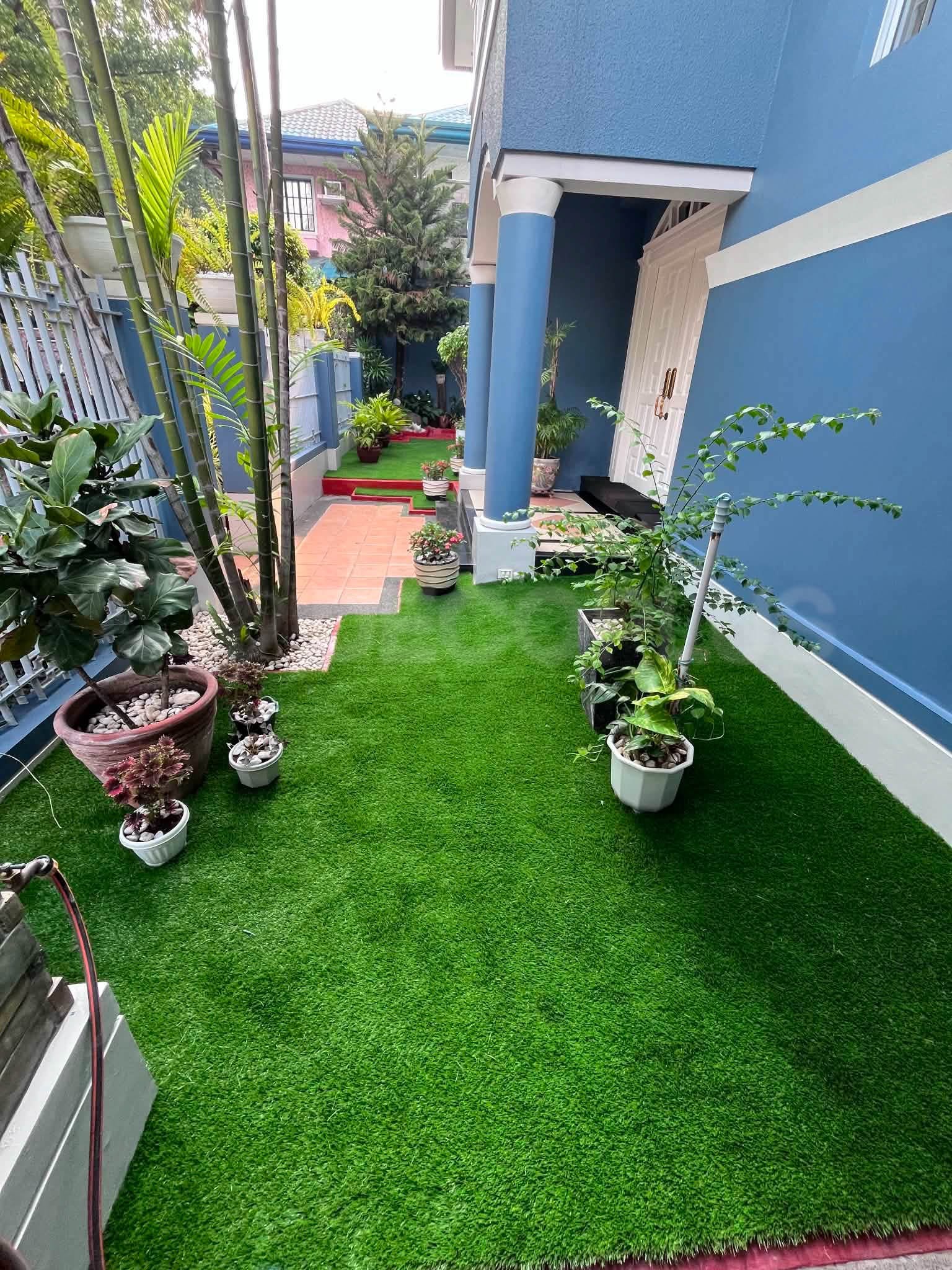bermuda-grass-05282026-03